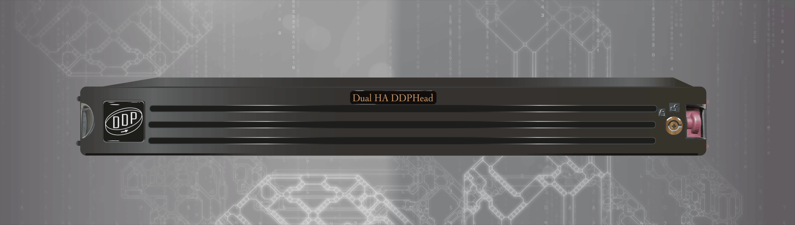 Footer HA DDPHead-2025