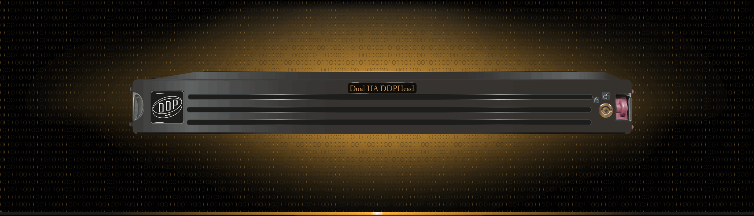 DDPHEAD-1U-2025