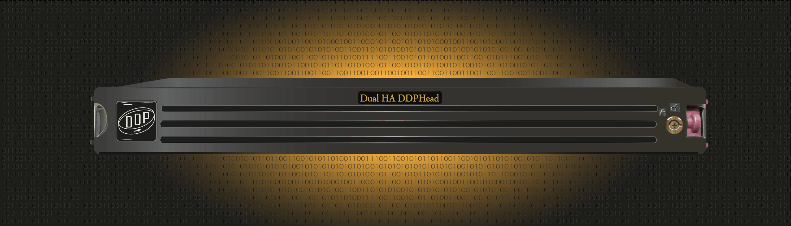 2025 - Dual HA DDPHead