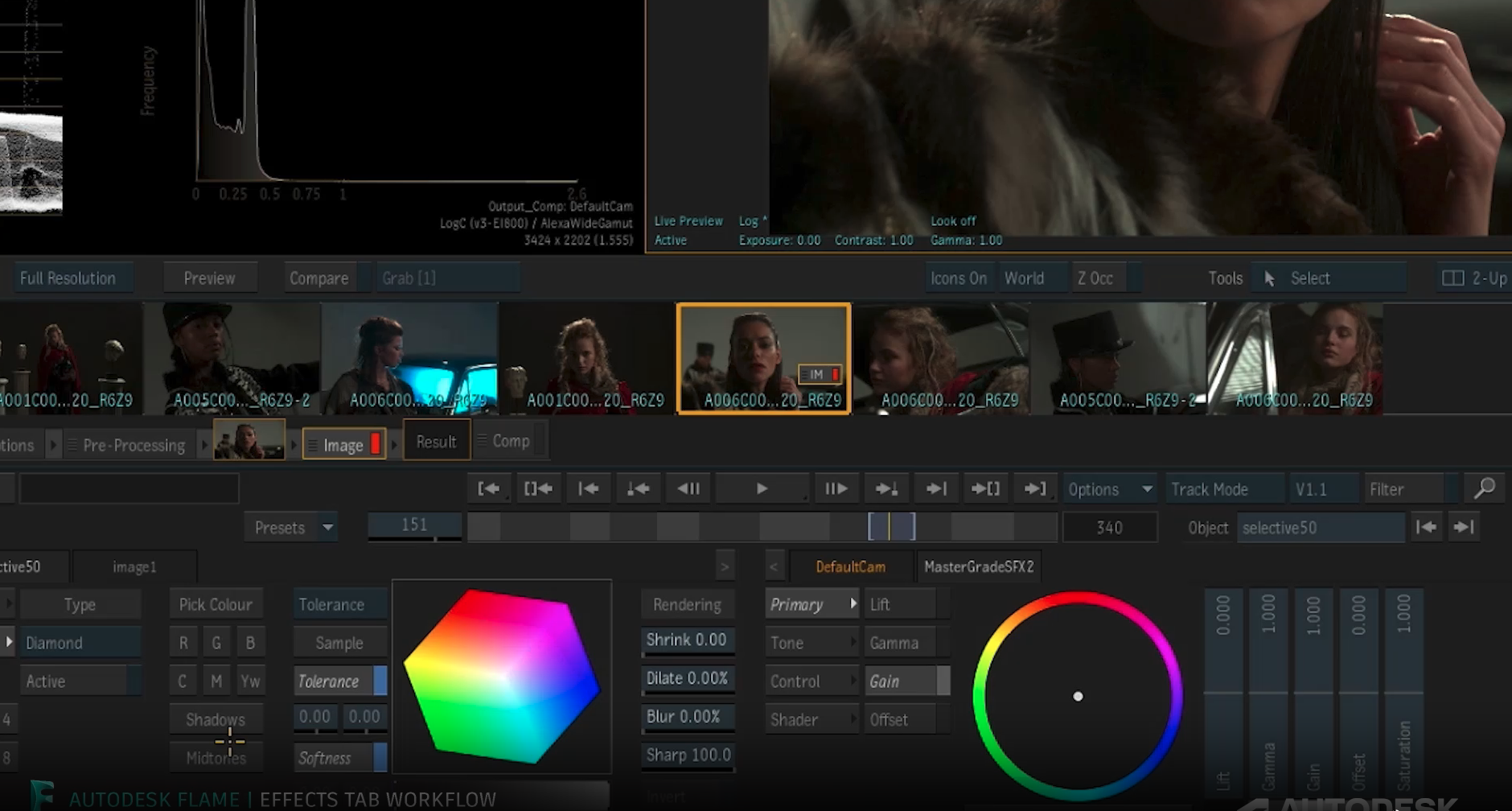 AutodeskFlame+DDP10EF
