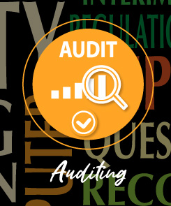 Auditing-icon
